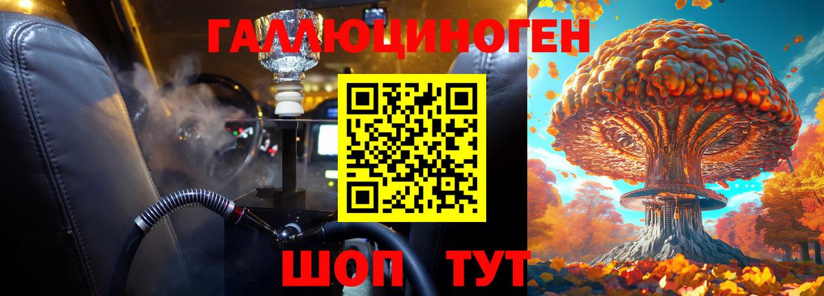 Псилоцибиновые грибы Psilocybe Сосновый Бор