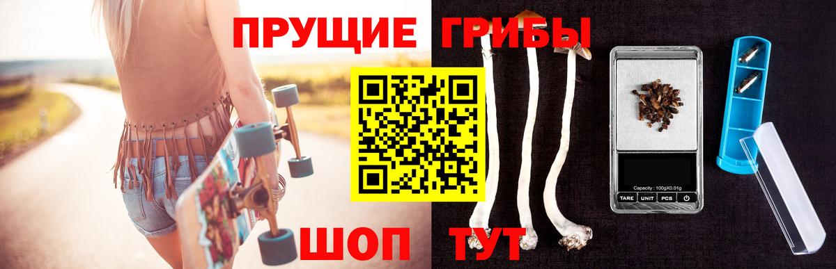 Псилоцибиновые грибы Cubensis  как найти закладки  Сосновый Бор  Вход с VPN 